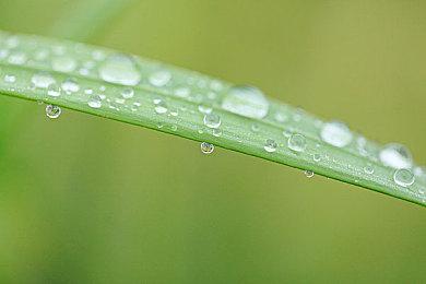 《消逝的光芒2》开发日志视频终章1月13日播出